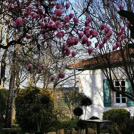L'ecrin Des Gaves *