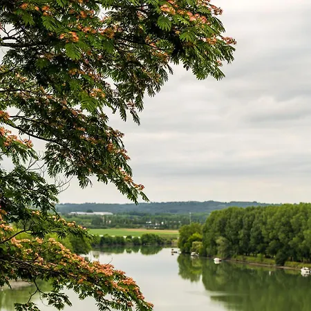L'ecrin Des Gaves Hastingues