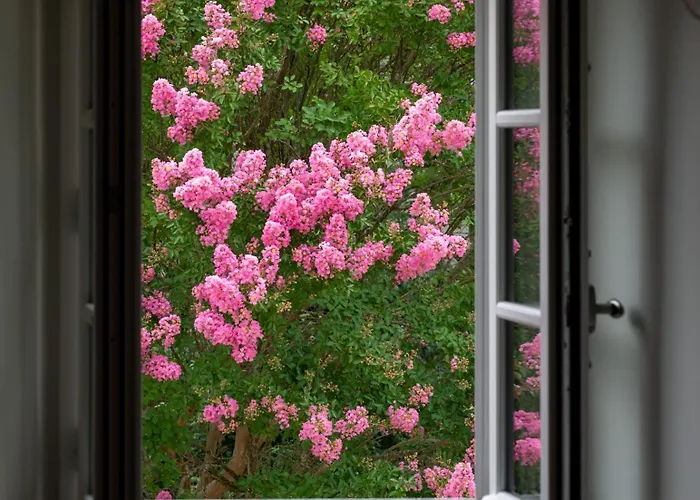 בית הארחה L'ecrin Des Gaves